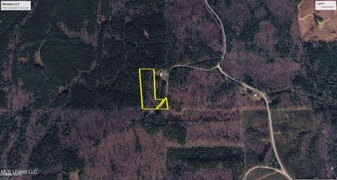 Vacant Land For Sale - Triplett Ingram Road<br/> Winston County, Louisville, MS 39339