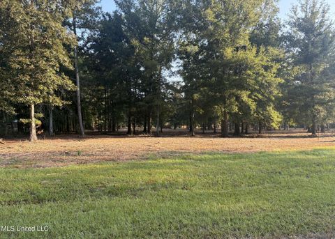Vacant Land For Sale - 00 Shire Avenue<br/> Forest, MS 39074