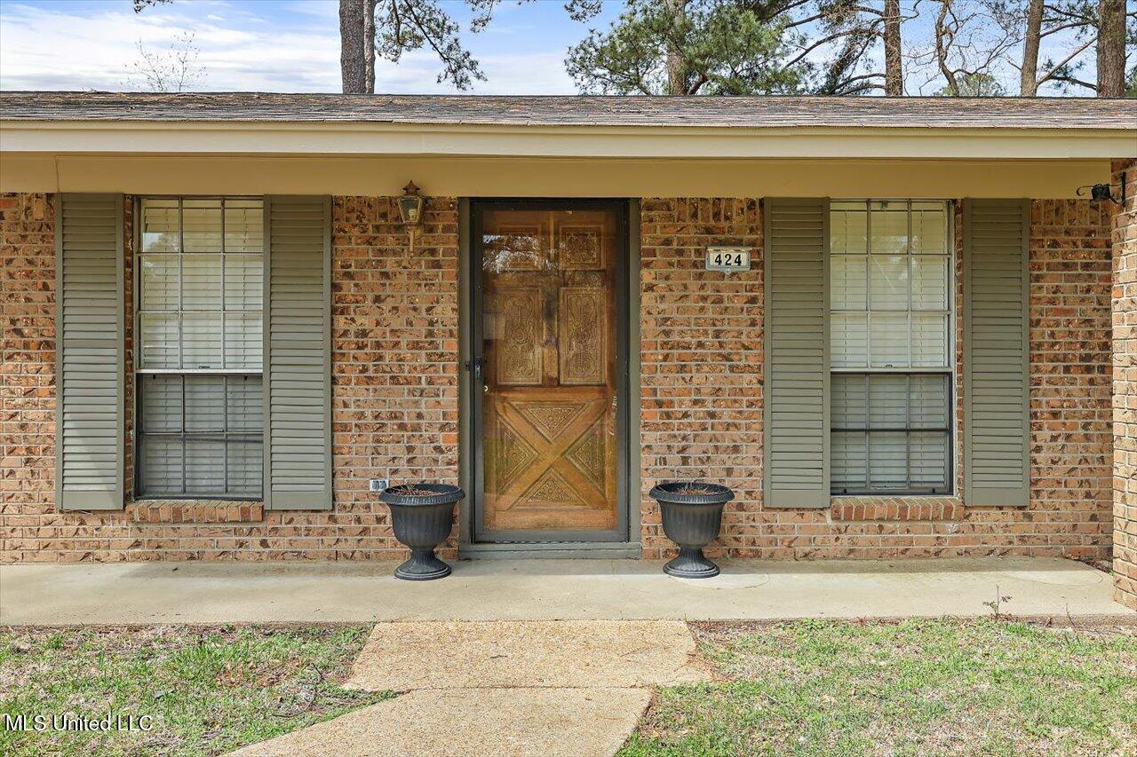 424 Louisa Street, Pearl, Mississippi image 26