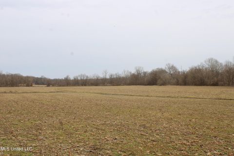 Vacant Land For Sale - 6000 Austin Road<br/> Lake Cormorant, MS 38641