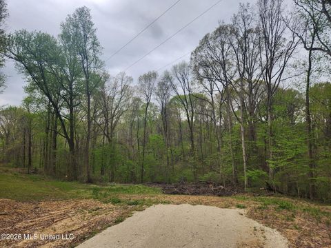 Vacant Land For Sale - 11593 High Road<br/> Hernando, MS 38632