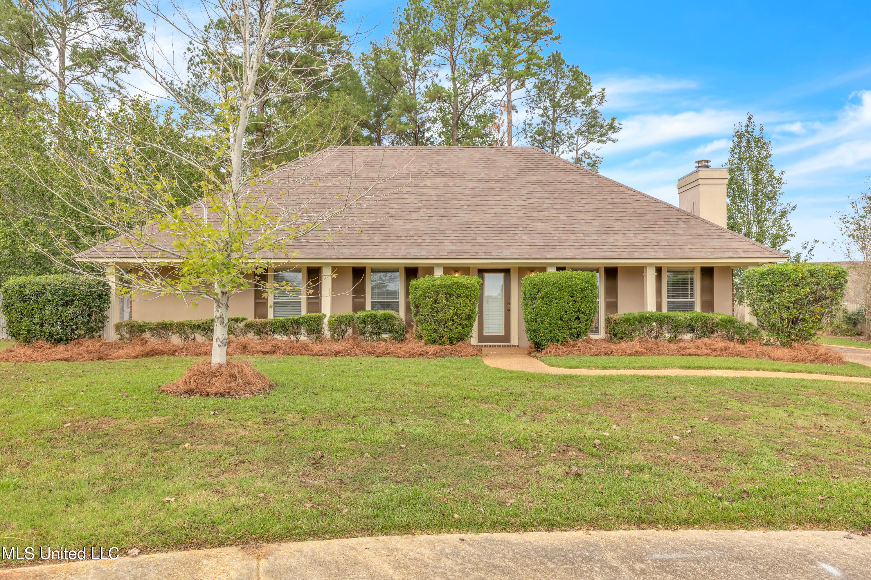 110 Parkview Lane, Brandon, Mississippi image 1