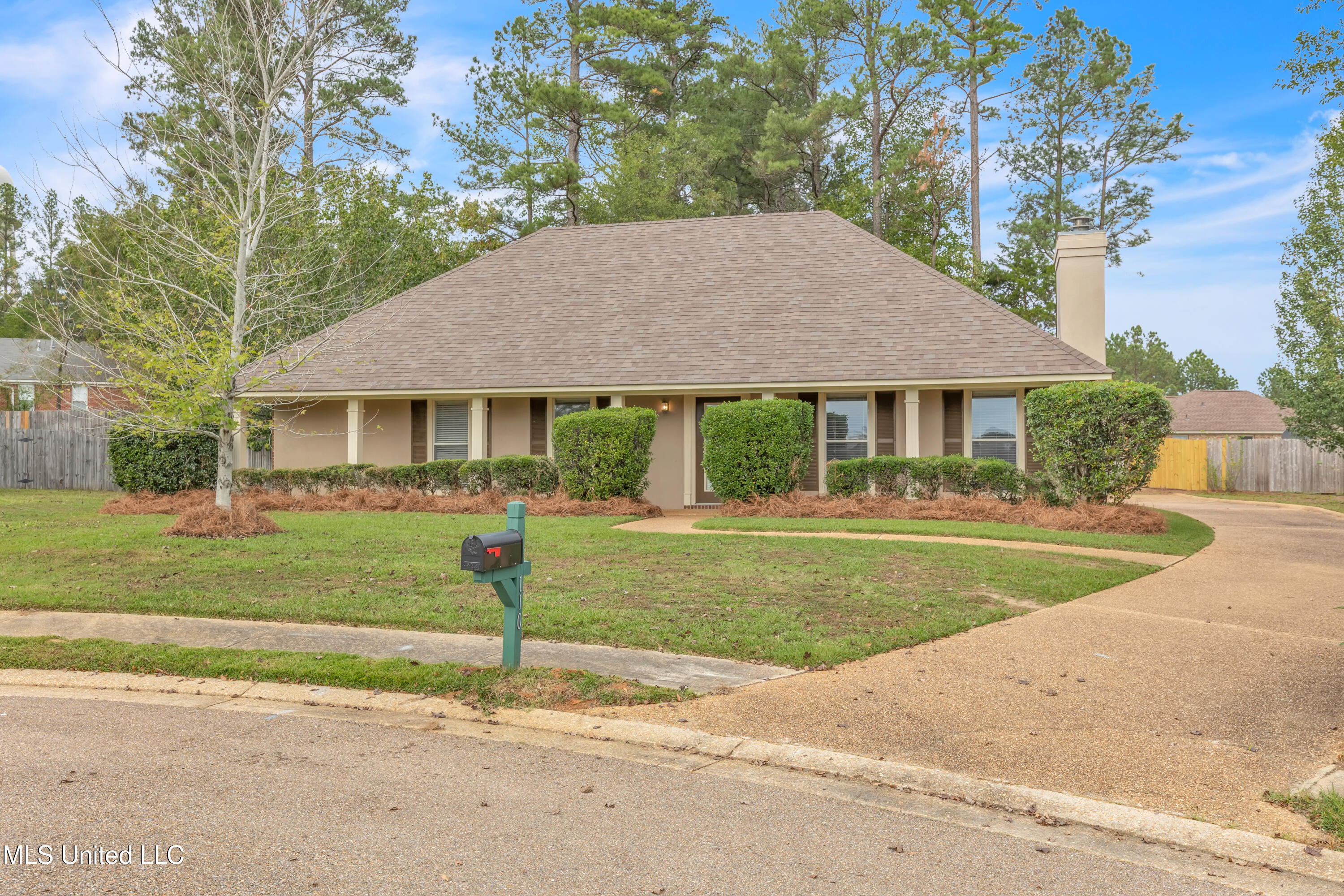 110 Parkview Lane, Brandon, Mississippi image 13