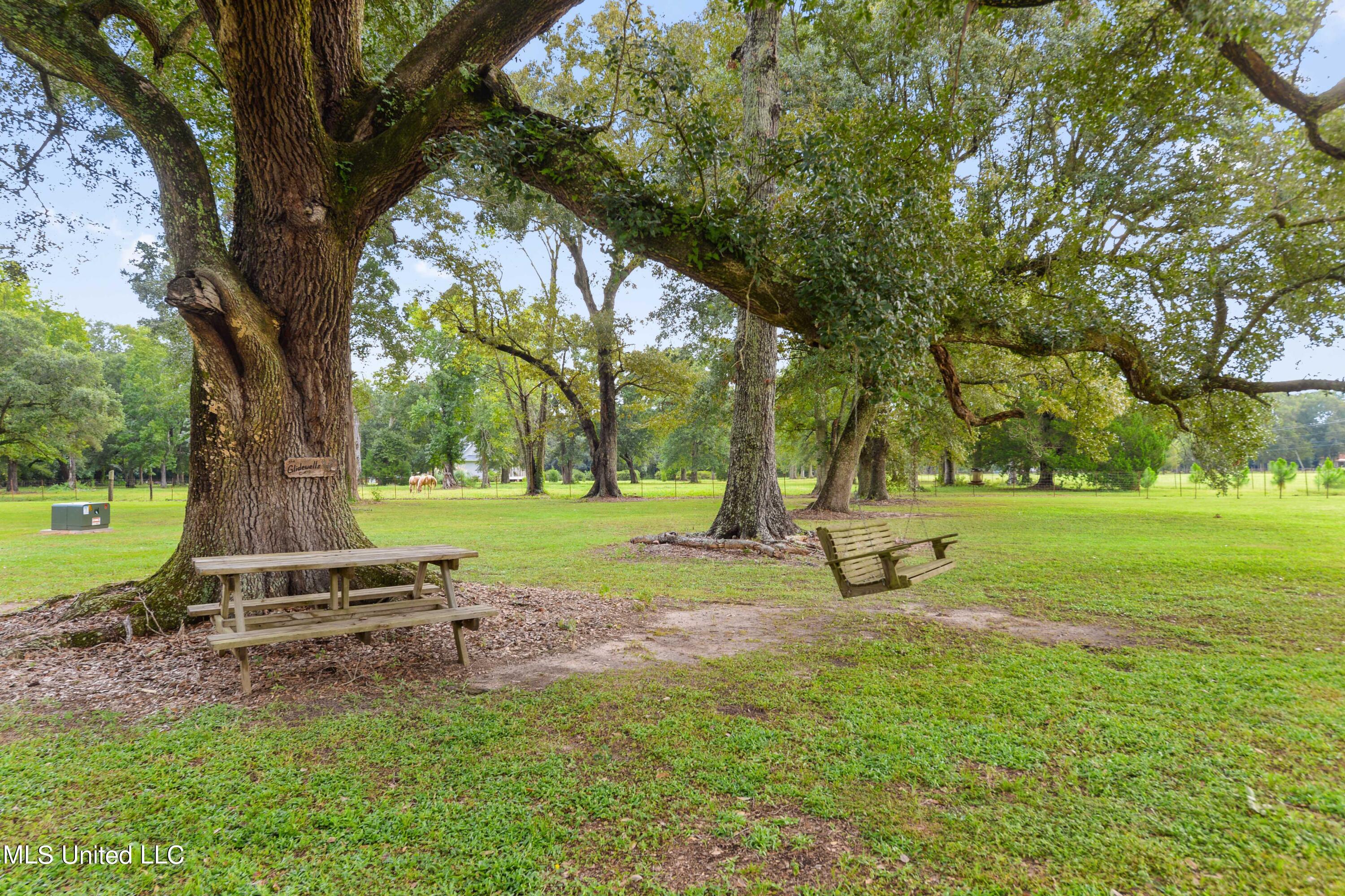 25905 Leetown Road, Picayune, Mississippi image 27