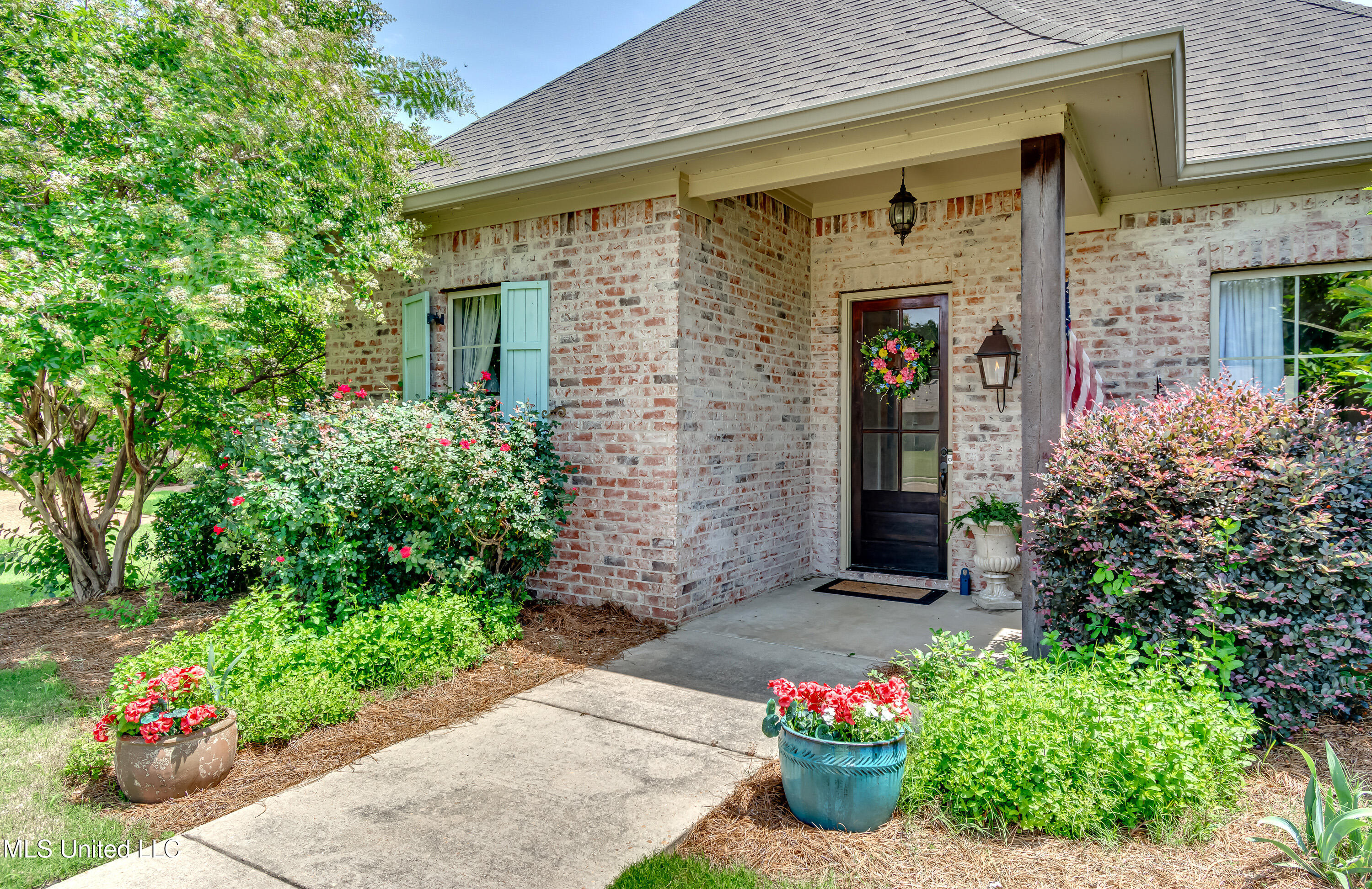109 Mullherrin Drive, Madison, Mississippi image 2