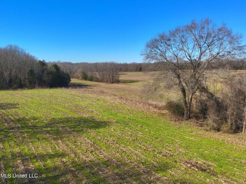 Vacant Land For Sale - 579 Black Jack Road<br/> Vaughan, MS 39179