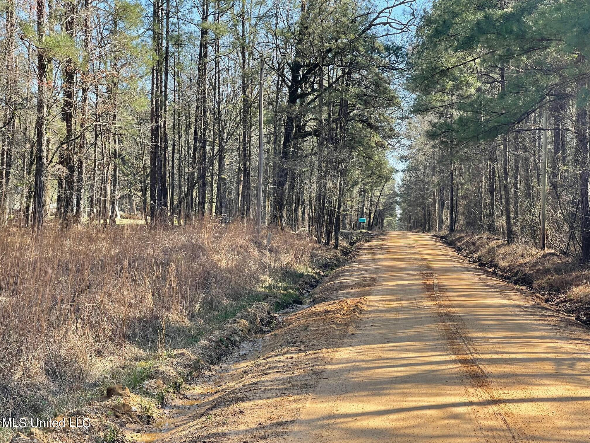00 Sun Road, Raleigh, Mississippi image 3