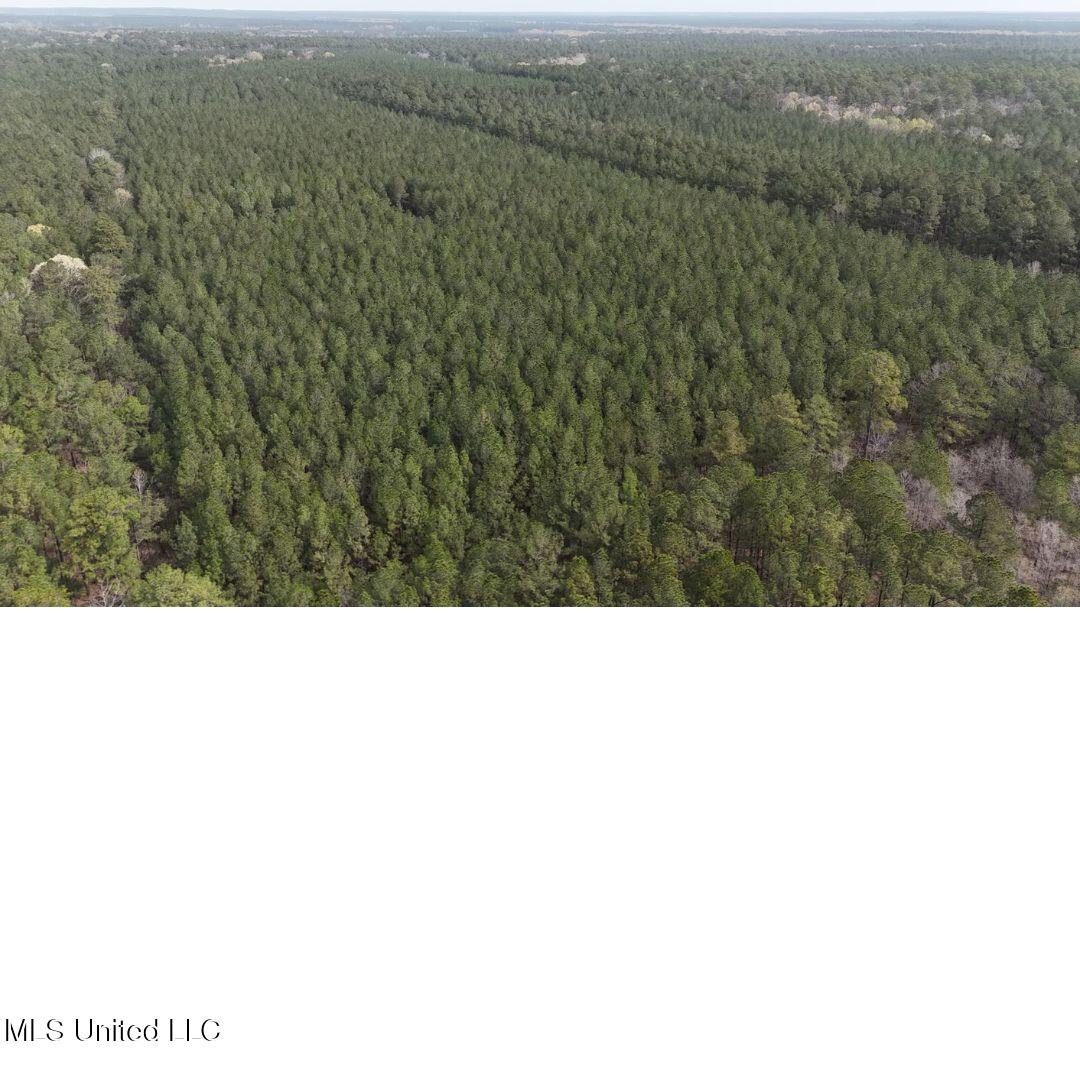 00 Sun Road, Raleigh, Mississippi image 9