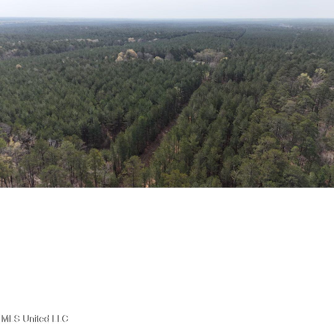 00 Sun Road, Raleigh, Mississippi image 7