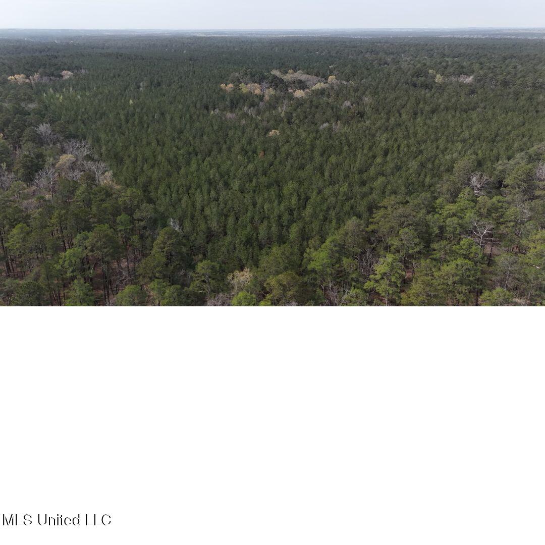 00 Sun Road, Raleigh, Mississippi image 6