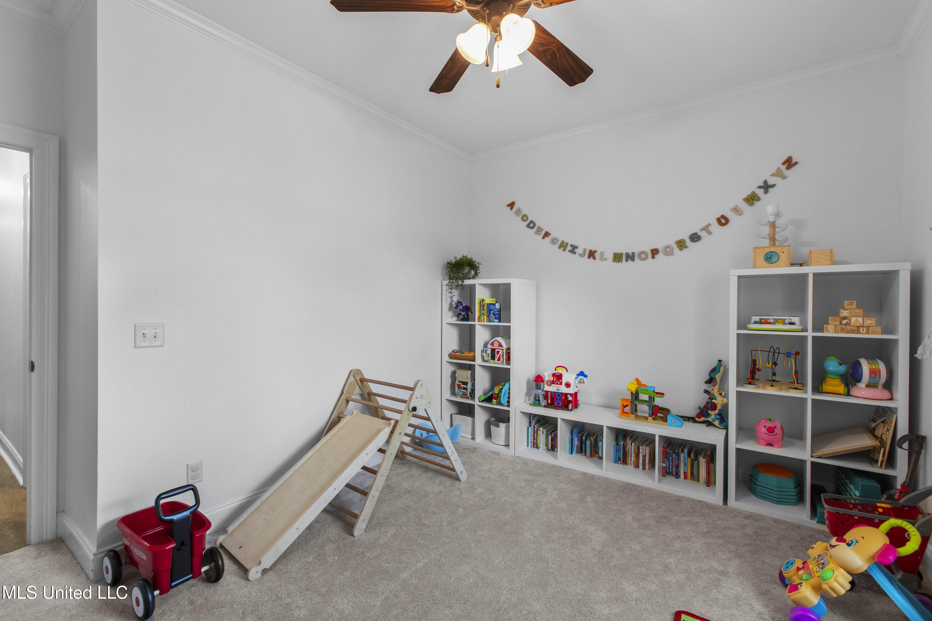 131 Camden Lane, Madison, Mississippi image 28
