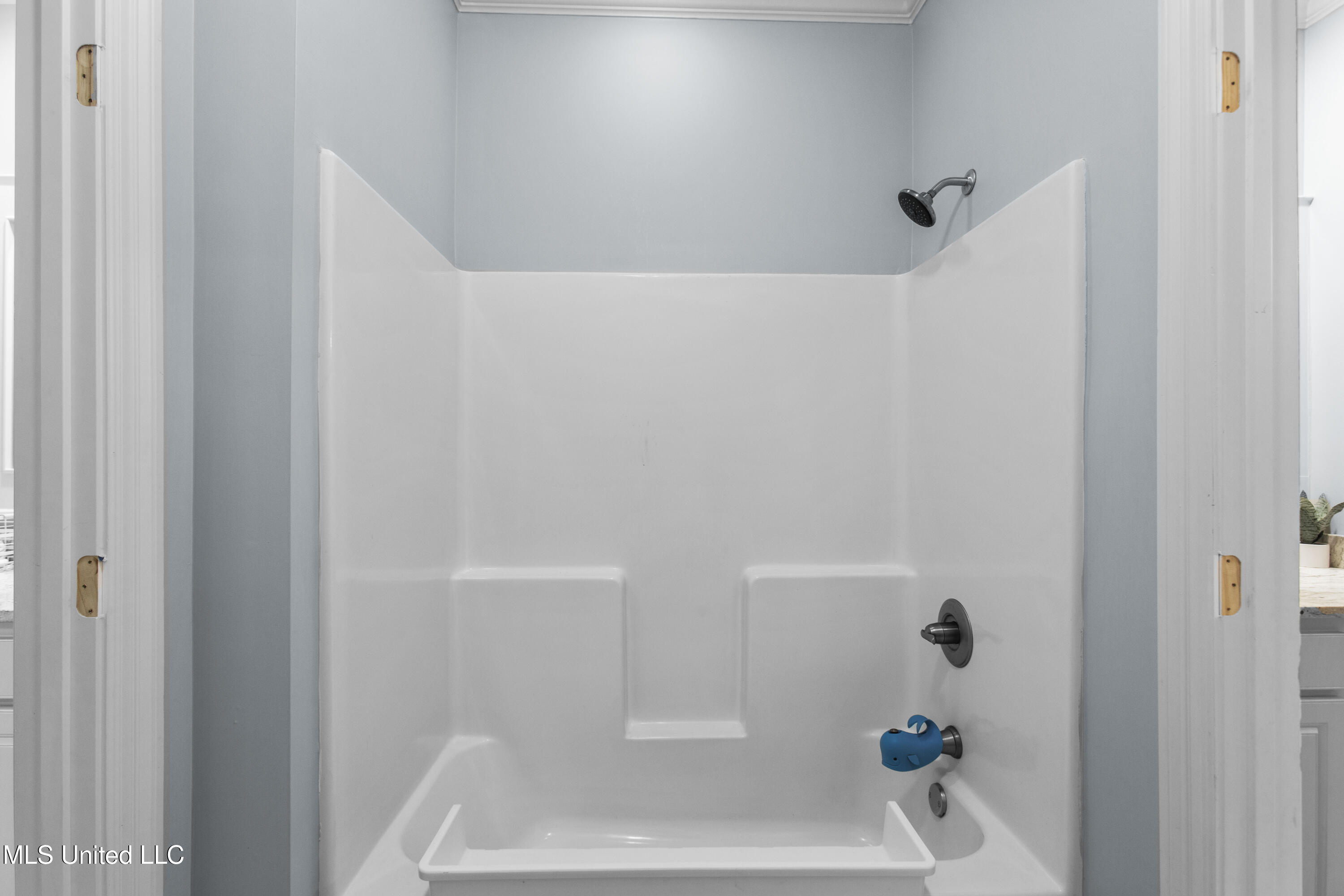 131 Camden Lane, Madison, Mississippi image 36