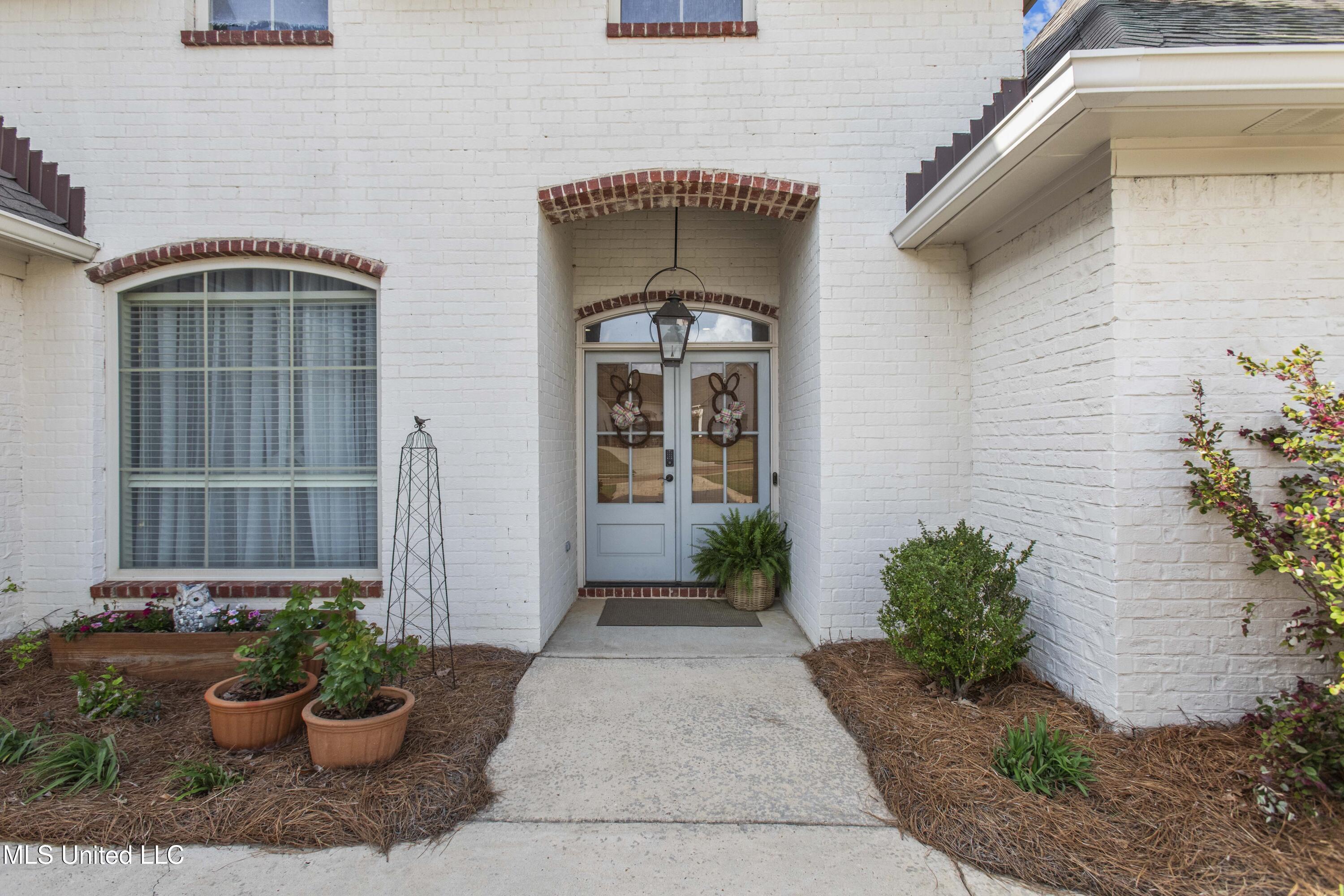 131 Camden Lane, Madison, Mississippi image 3