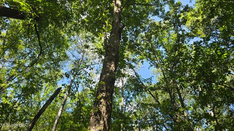 Vacant Land For Sale - 397 W Oakvale Road<br/> Covington County, Mount Olive, MS 39119