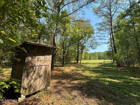 Vacant Land For Sale - 2 Forest Service Road 562<br/> Scott County, Pulaski, MS 39152
