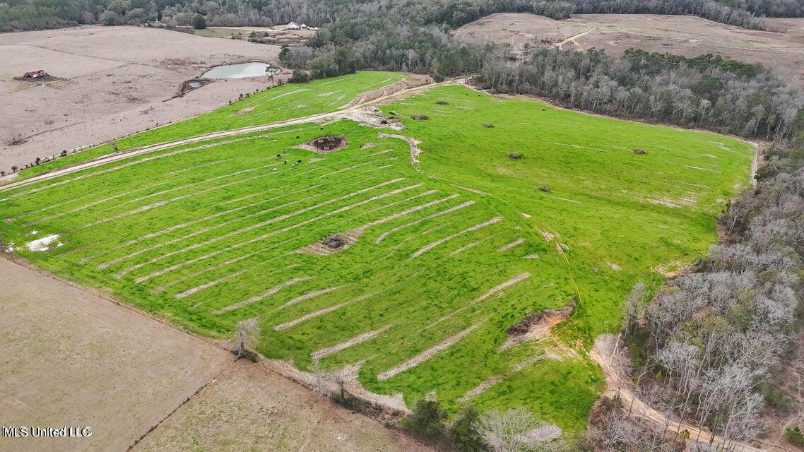 110 Ac Holland Rd, Lucedale, Mississippi image 1