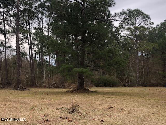 15654 Walter Smith Road, Gulfport, Mississippi image 9