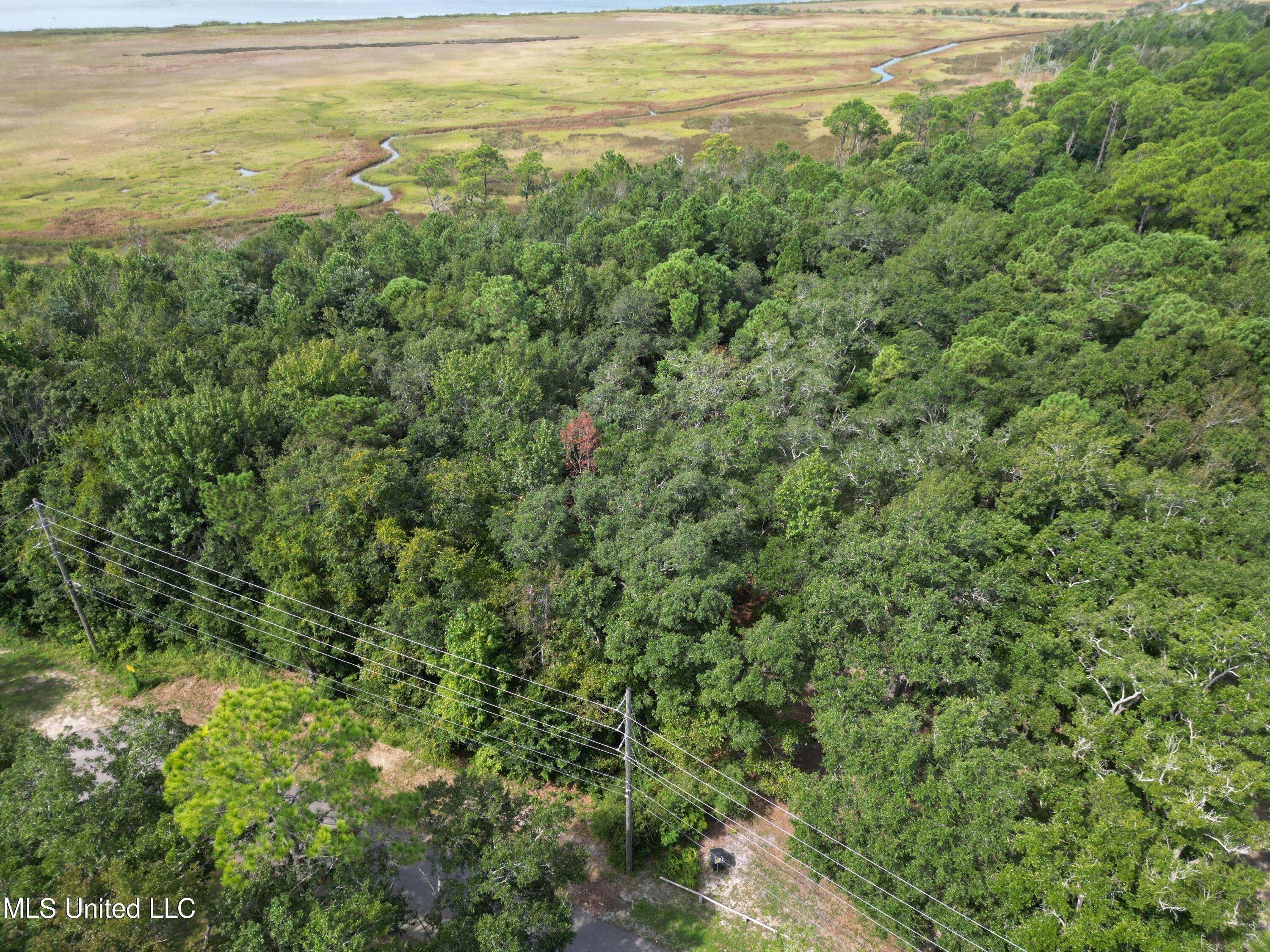 46 S 11th Street, Ocean Springs, Mississippi image 7