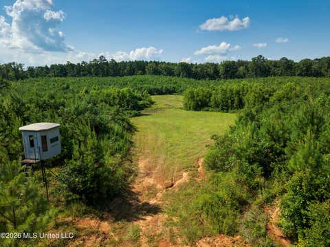 Vacant Land For Sale - Lower Liberty Gloster Road<br/> Liberty, MS 39645
