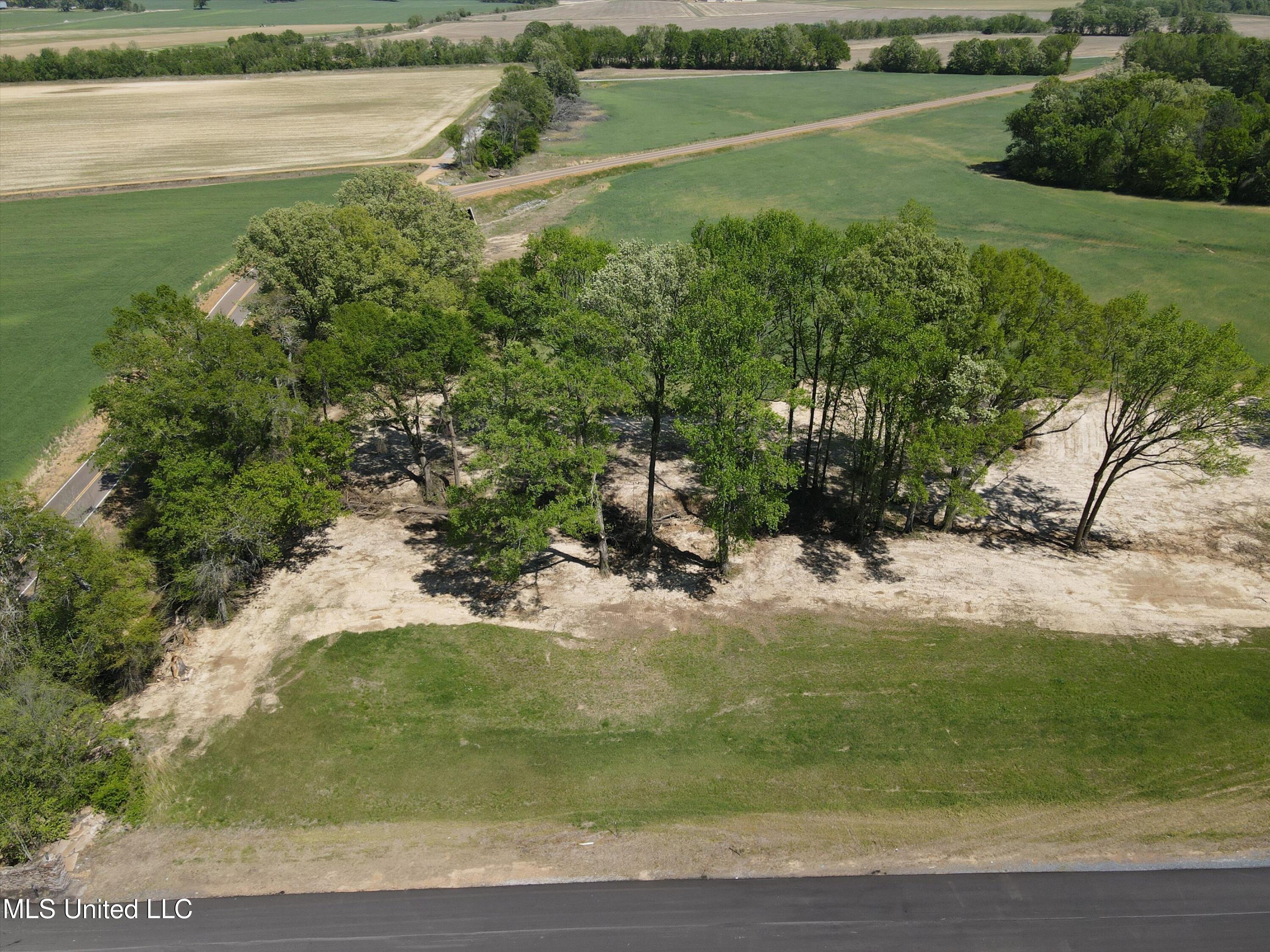 13 Como Trace Drive, Senatobia, Mississippi image 3