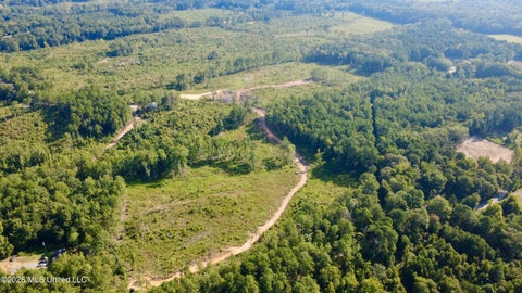 Vacant Land For Sale - Terry Road<br/> Kosciusko, MS 39090