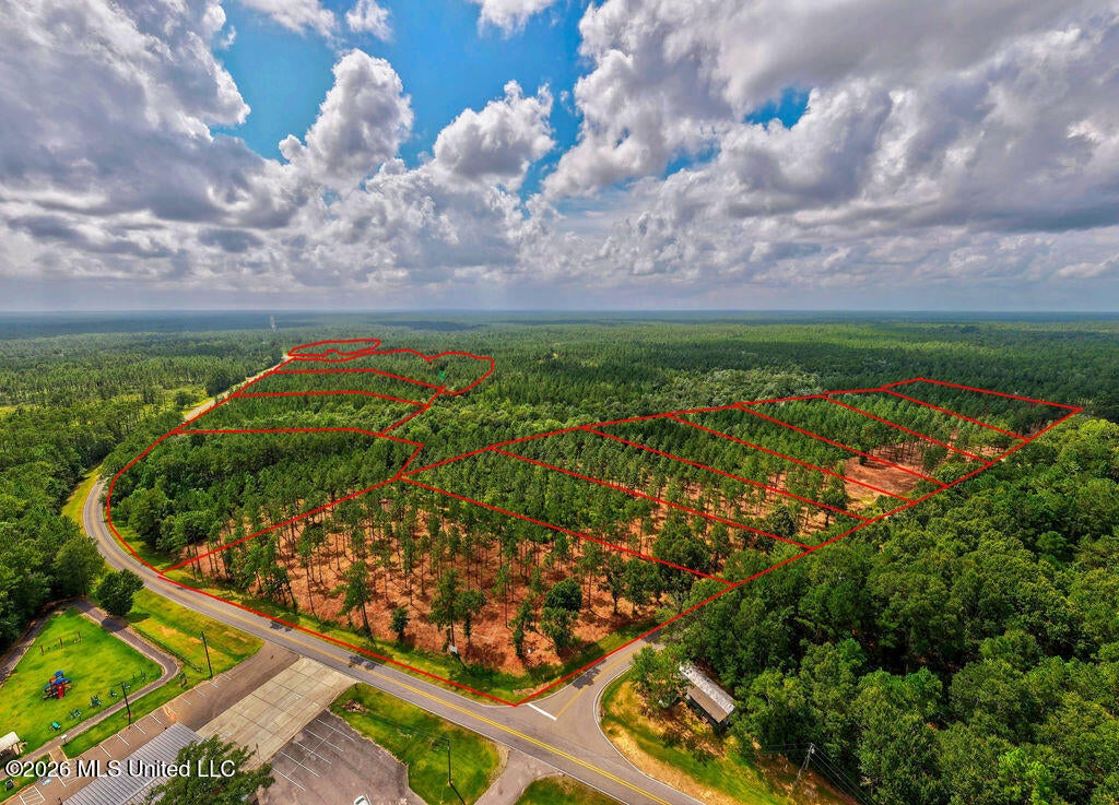 Nhn Lot 11 Bethel Road - Photo 4