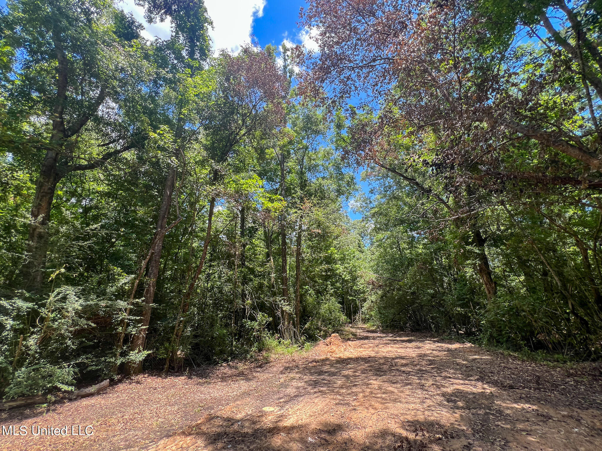 60 Ac Lymon Havard Lane, Lucedale, Mississippi image 1