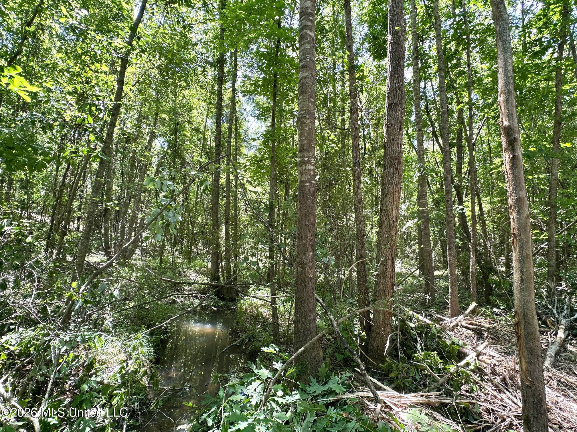 2 Mcnair Springs Road