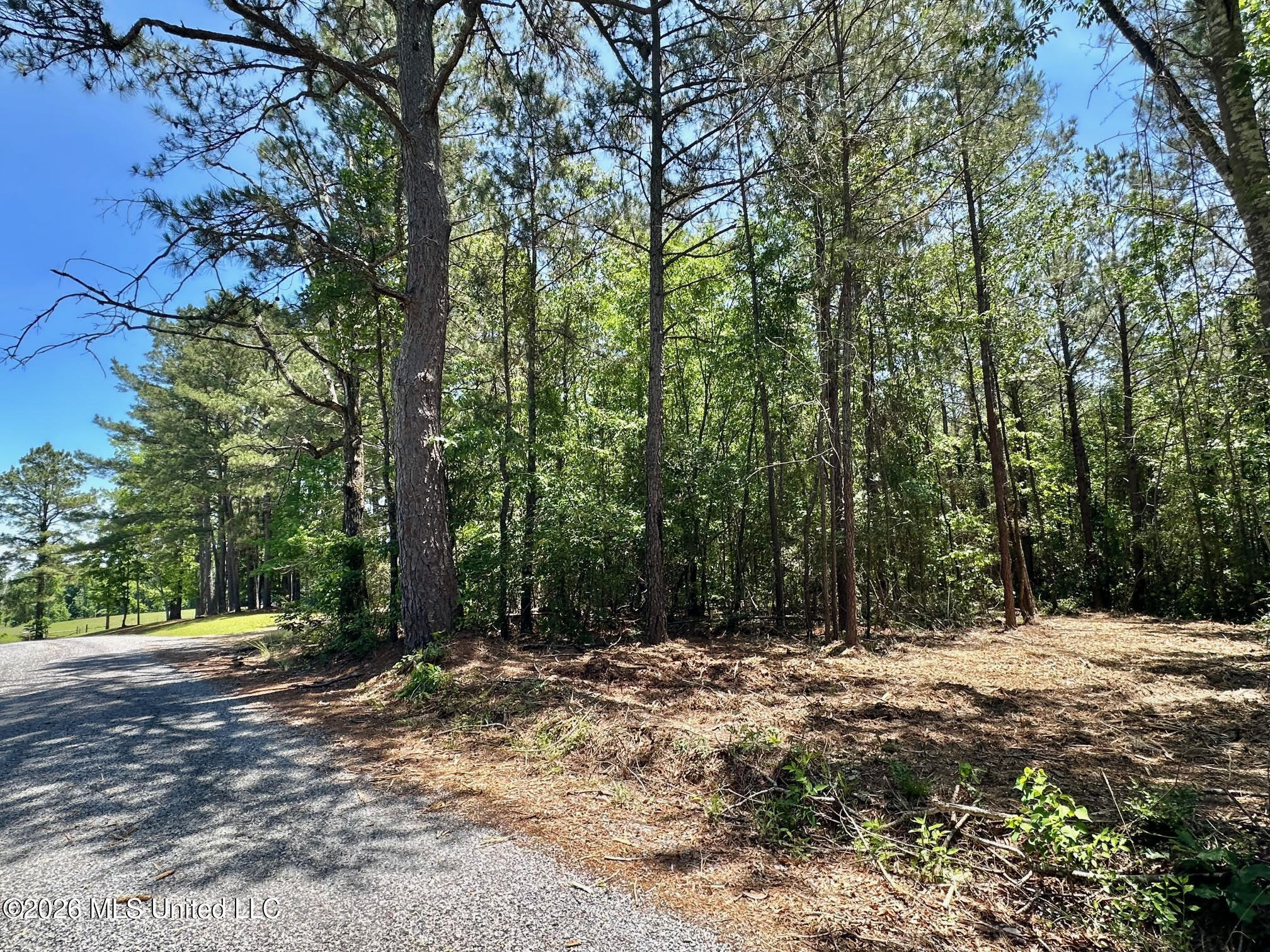 2 Mcnair Springs Road