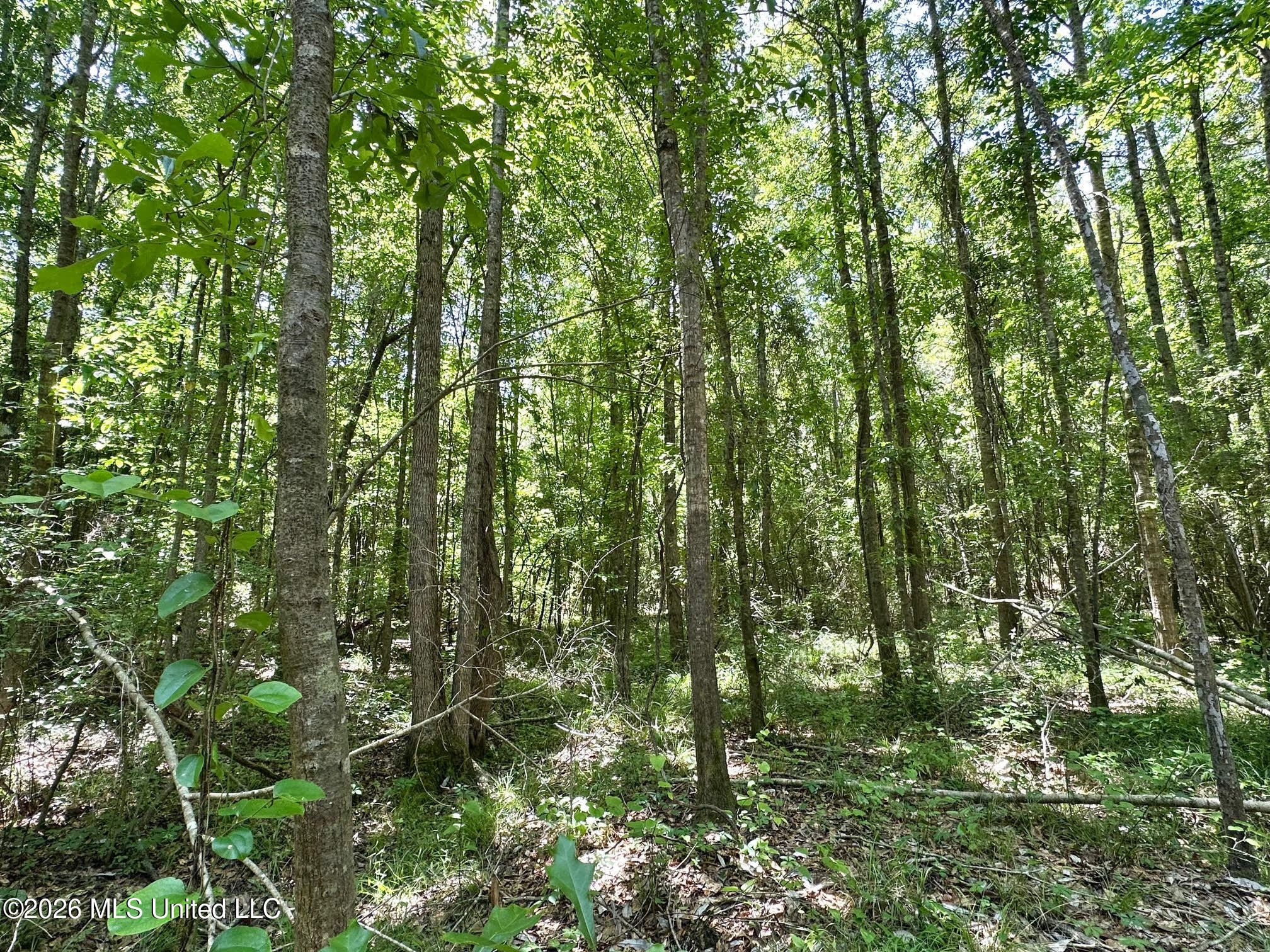 2 Mcnair Springs Road