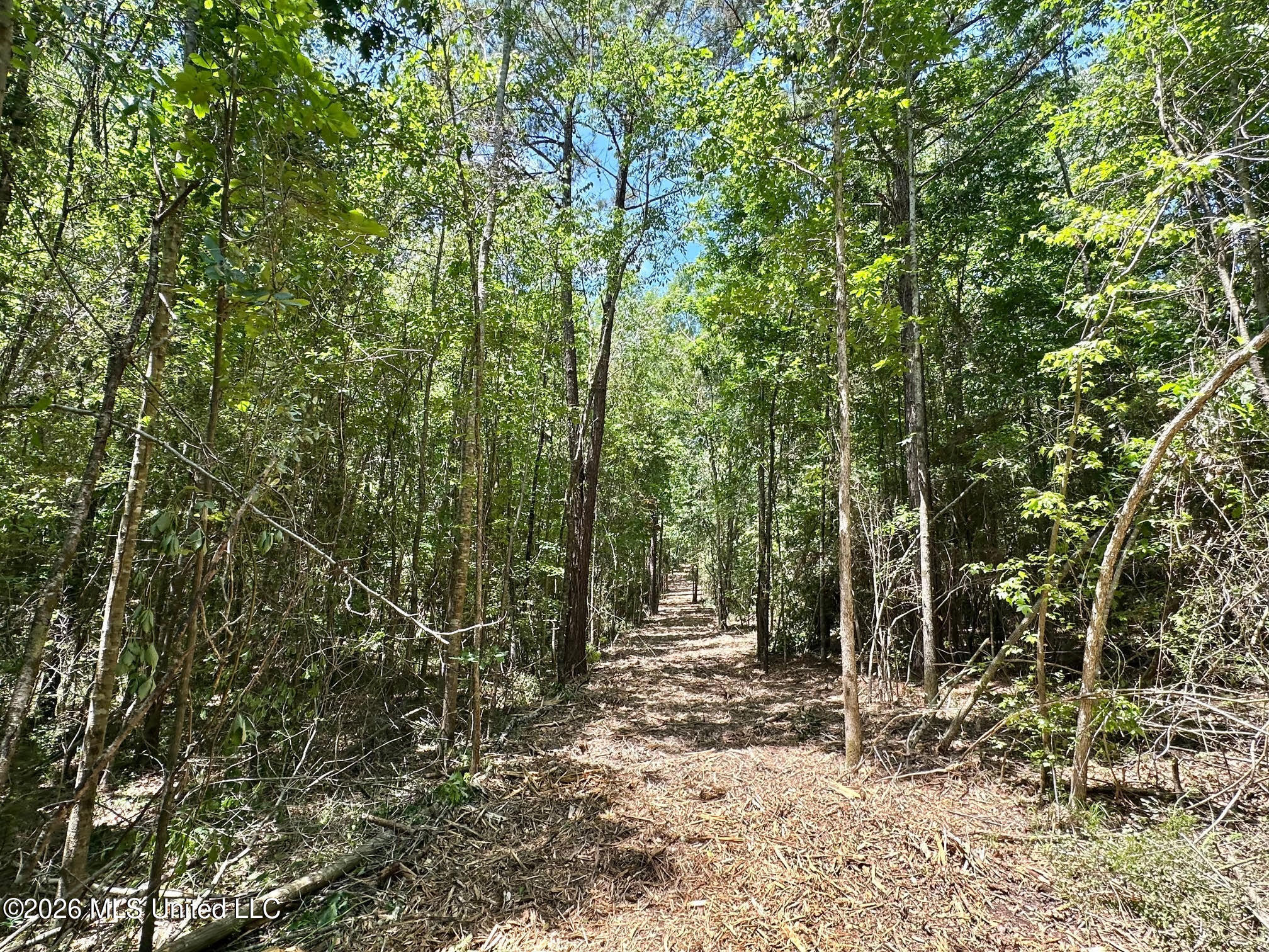 2 Mcnair Springs Road