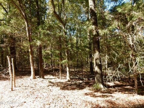 Vacant Land For Sale - LOT 1 N Crockett Road<br/> Senatobia, MS 38668