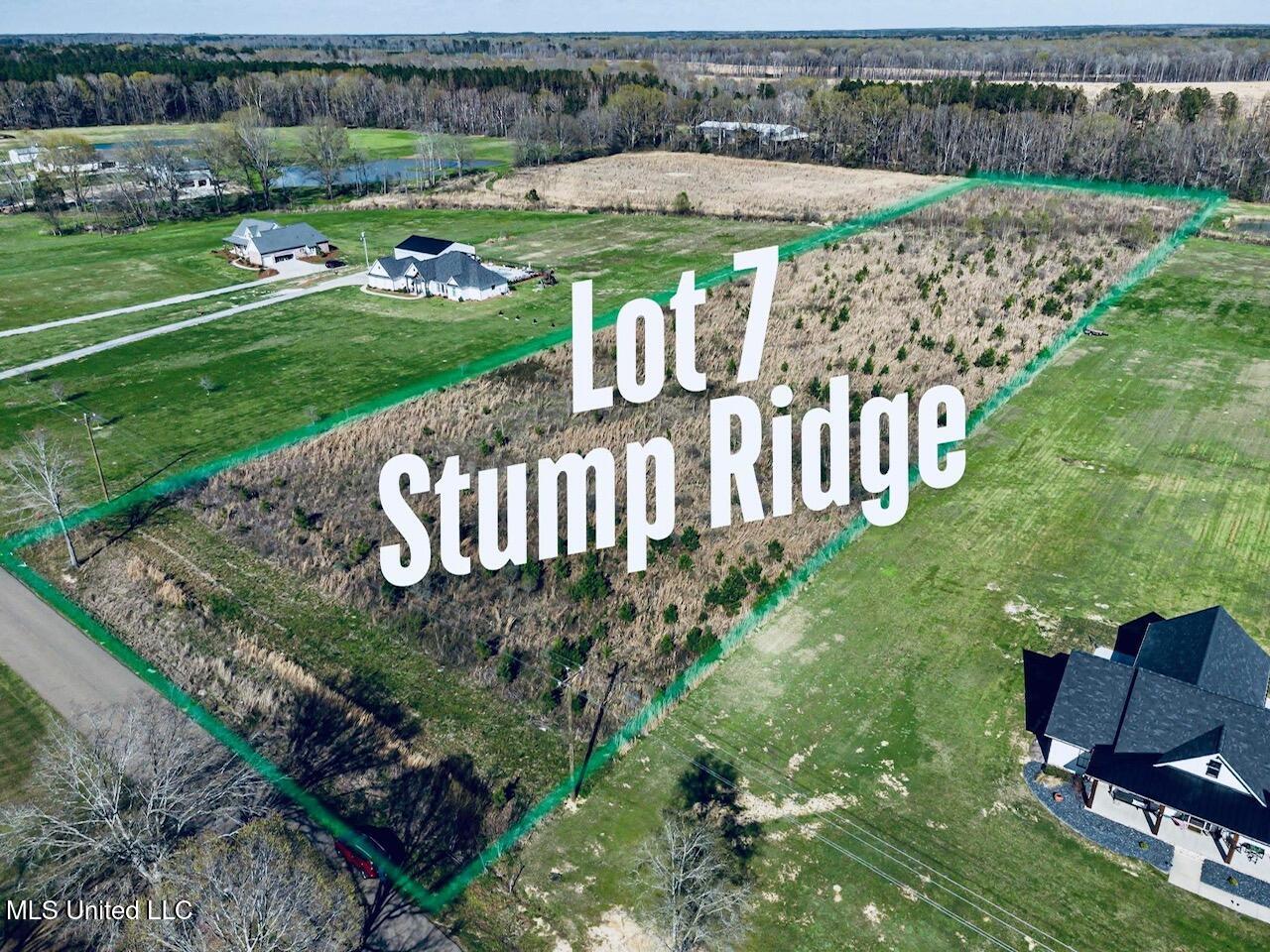 Lot 7 Stump Ridge Road, Brandon, Mississippi image 1