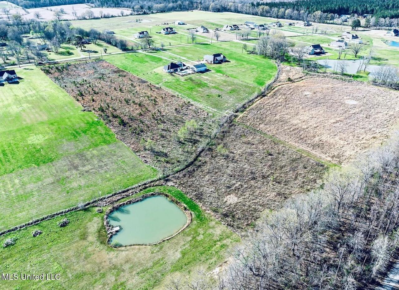 Lot 7 Stump Ridge Road, Brandon, Mississippi image 4