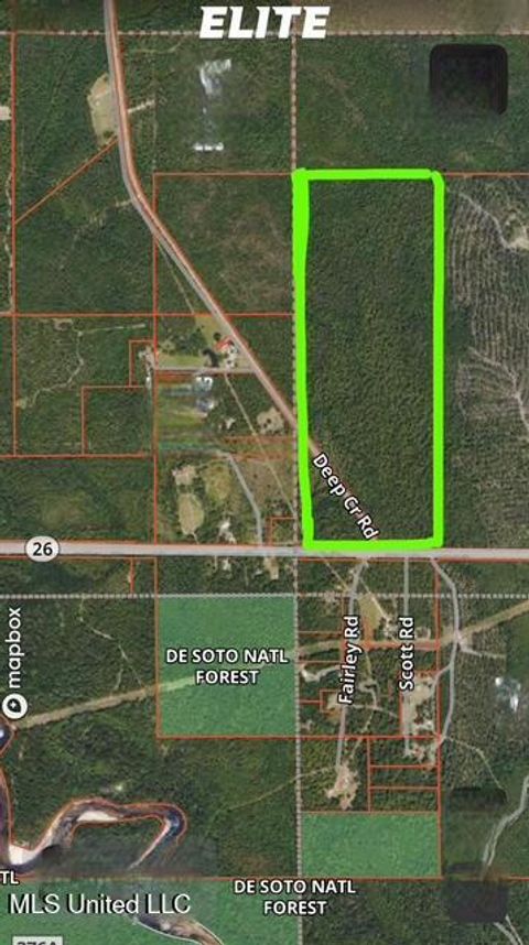 Vacant Land For Sale - TBN Deep Creek Road<br/> Wiggins, MS 39577