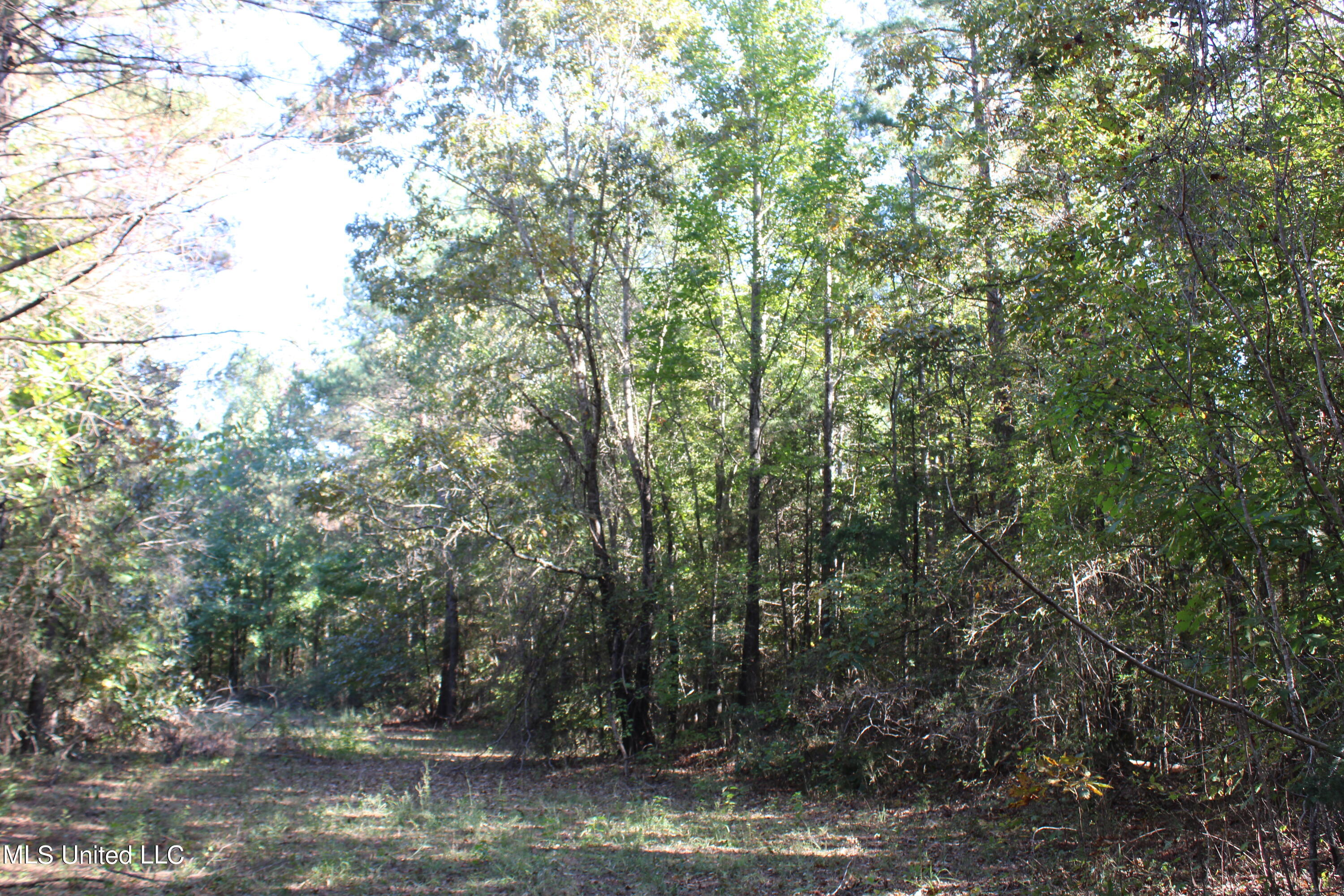 1502 Lower Gurley Road, Potts Camp, Mississippi image 37