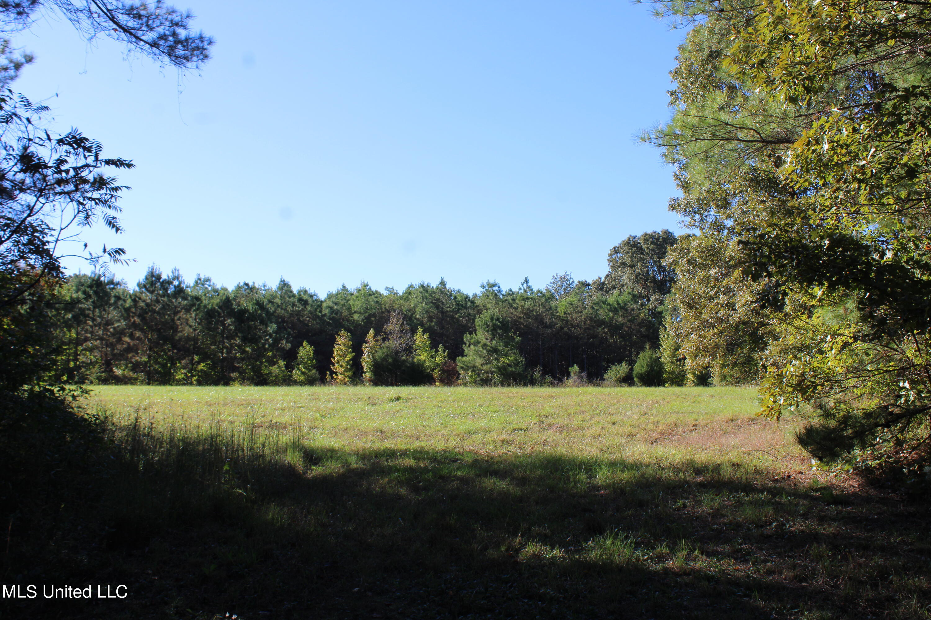 1502 Lower Gurley Road, Potts Camp, Mississippi image 50