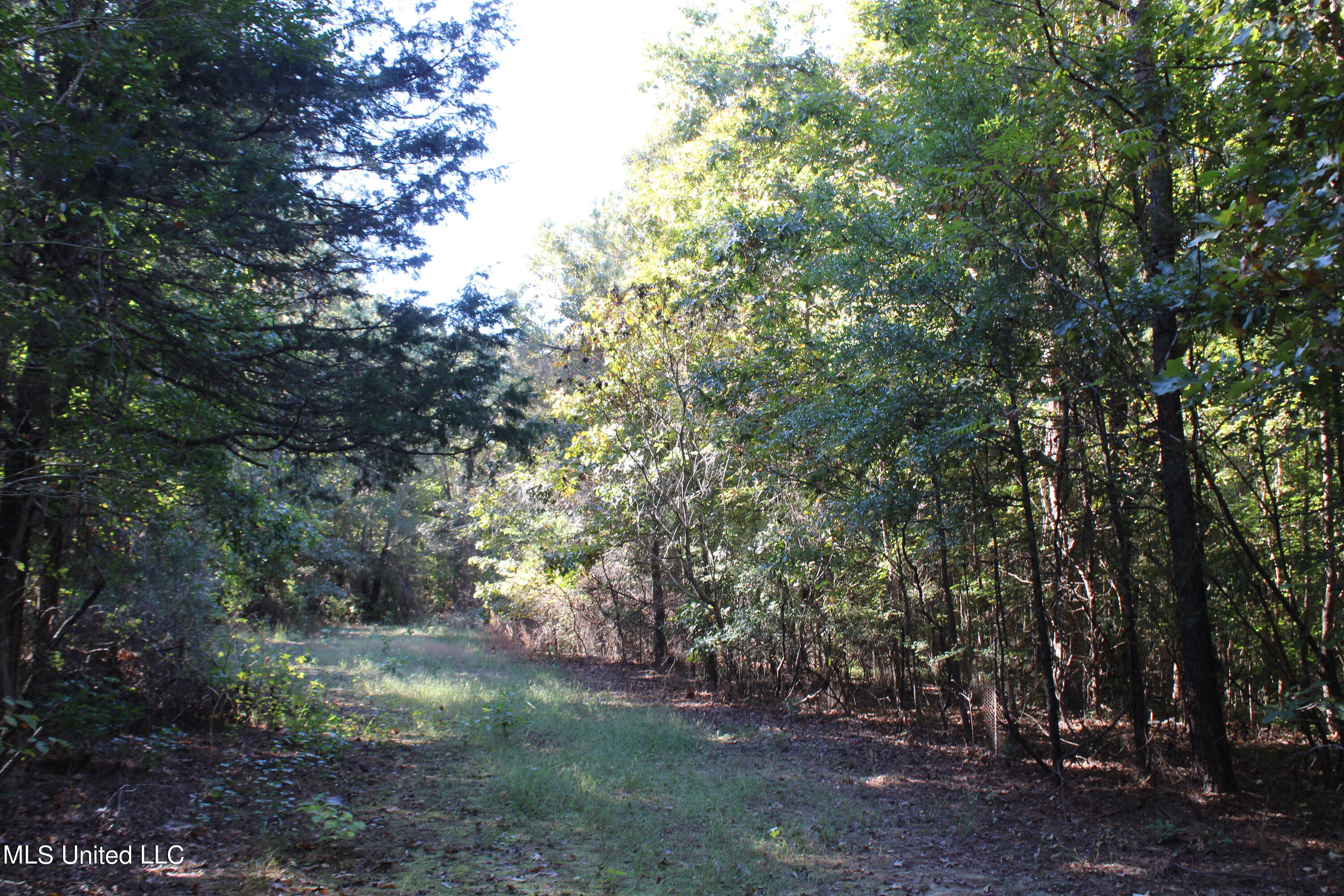 1502 Lower Gurley Road, Potts Camp, Mississippi image 40