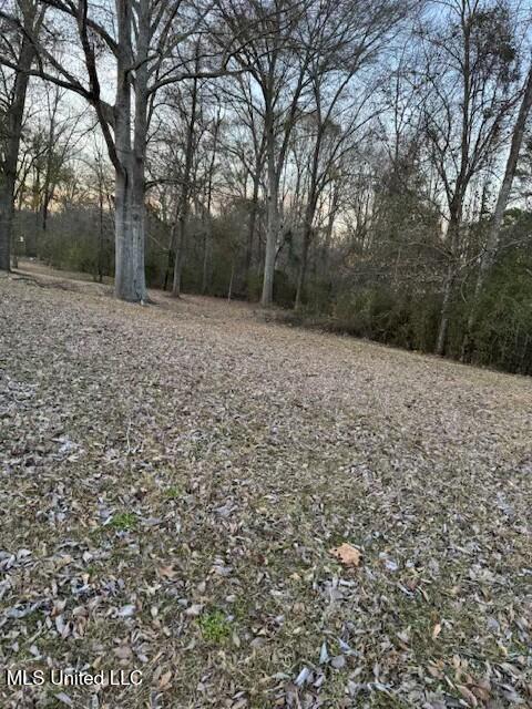 4422 Blake Cir Cir, Byram, Mississippi image 13