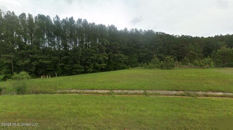 Vacant Land For Sale - Highway 45n<br/> Waynesboro, MS 39367