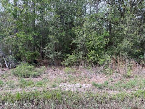 Vacant Land For Sale - W Jackson Street<br/> Hancock County, Bay Saint Louis, MS 39520