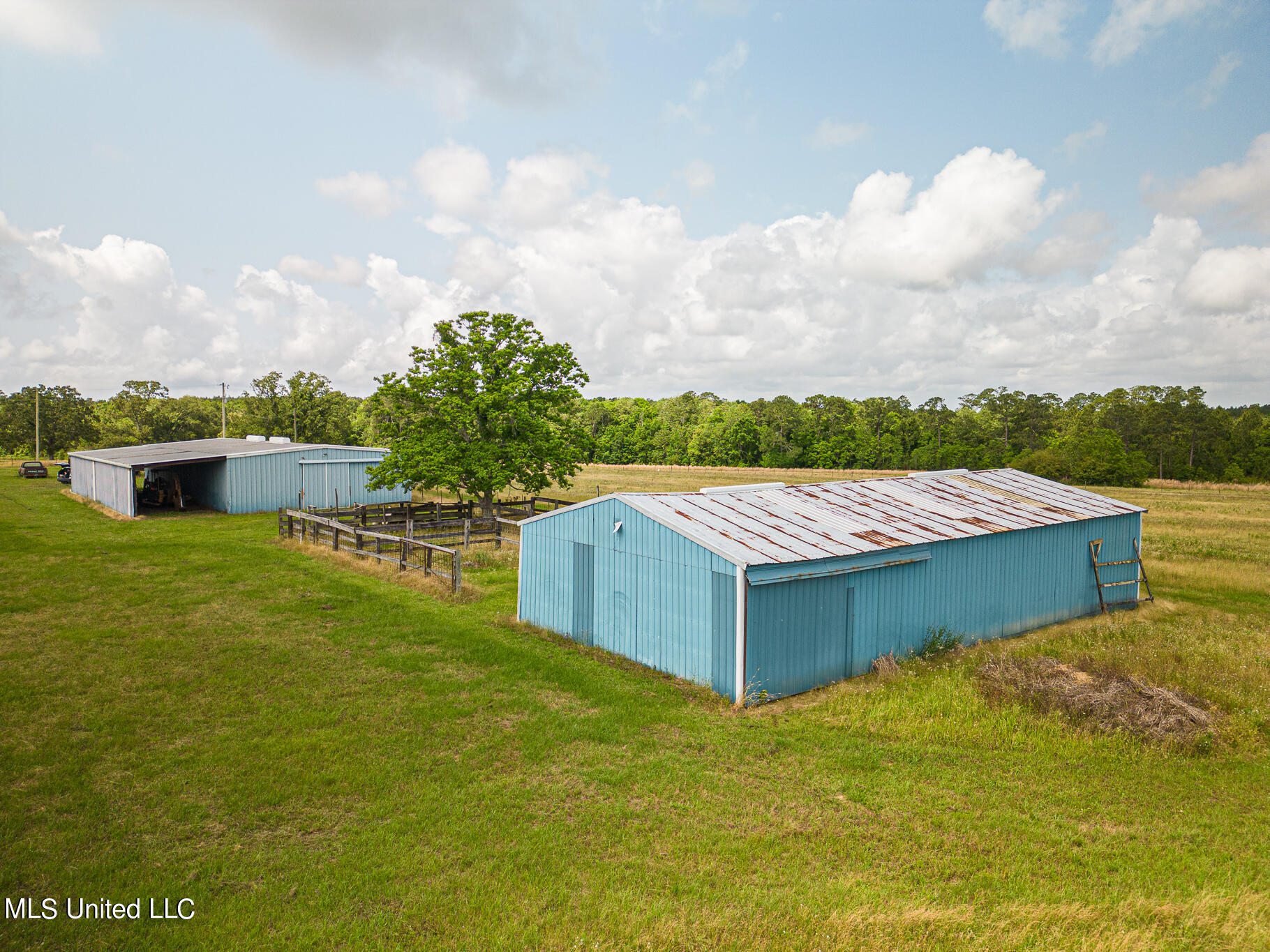 Camille Drive, Pass Christian, Mississippi image 13