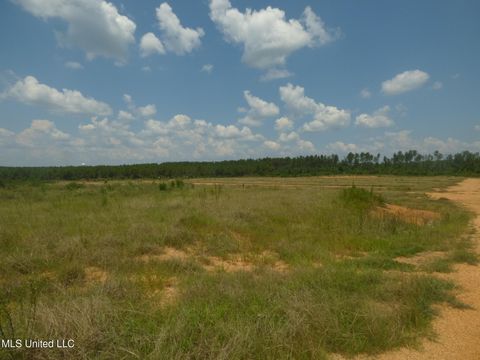 Vacant Land For Sale - 161 Old Holmesville Road<br/> Tylertown, MS 39667