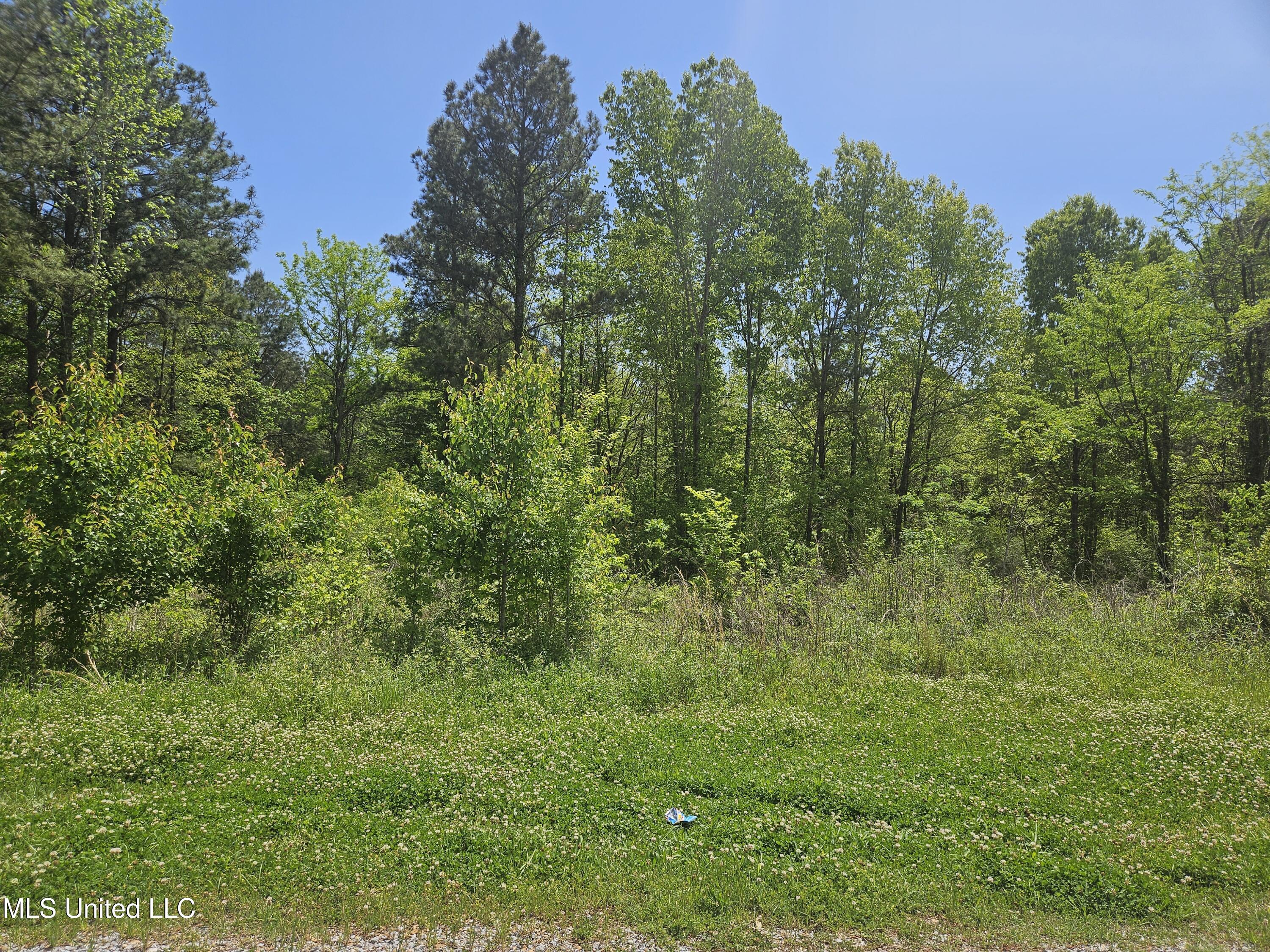 Us-61, Fayette, Mississippi image 2