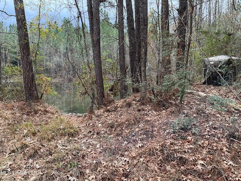 Vacant Land For Sale - Berwick Cassels Road<br/> Gloster, MS 39638