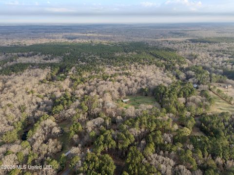 Vacant Land For Sale - 0000 Utah Road<br/> Leake County, Lena, MS 39094