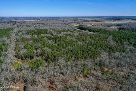 Vacant Land For Sale - Dr Sears Road<br/> West Point, MS 39773