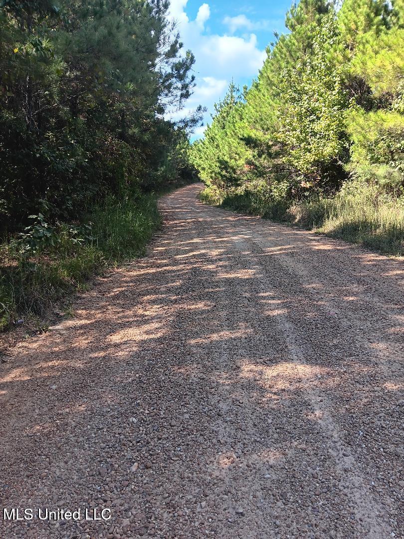 NW Shillings Road, Roxie, Mississippi image 1