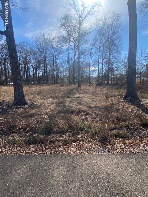 Vacant Land For Sale - Nash Drive<br/> Grenada, MS 38901