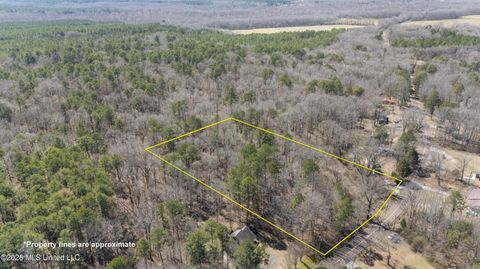 Vacant Land For Sale - 62 County Road 198<br/> Oxford, MS 38655